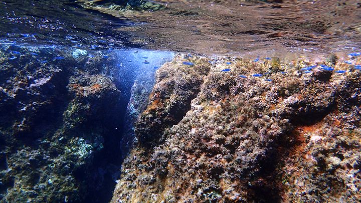 padi deep diver - Santorini volcanic reef