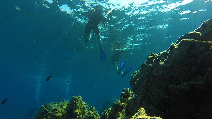 snorkel diving in santorini volcanic reefs